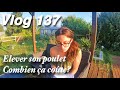 Poulets de chair investissementrendement  triste nouvelle pour les cochons vlog 137