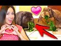 ДРАКА ИЛИ ЛЮБОВЬ ? ТРЕТЬЕ СВИДАНИЕ В ДОМЕ КРОЛИКИ | Дом Призрак Elli Di Pets