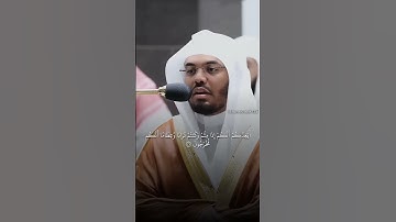 سورة المؤمنون اية (34) إلى (40) ياسر الدوسري