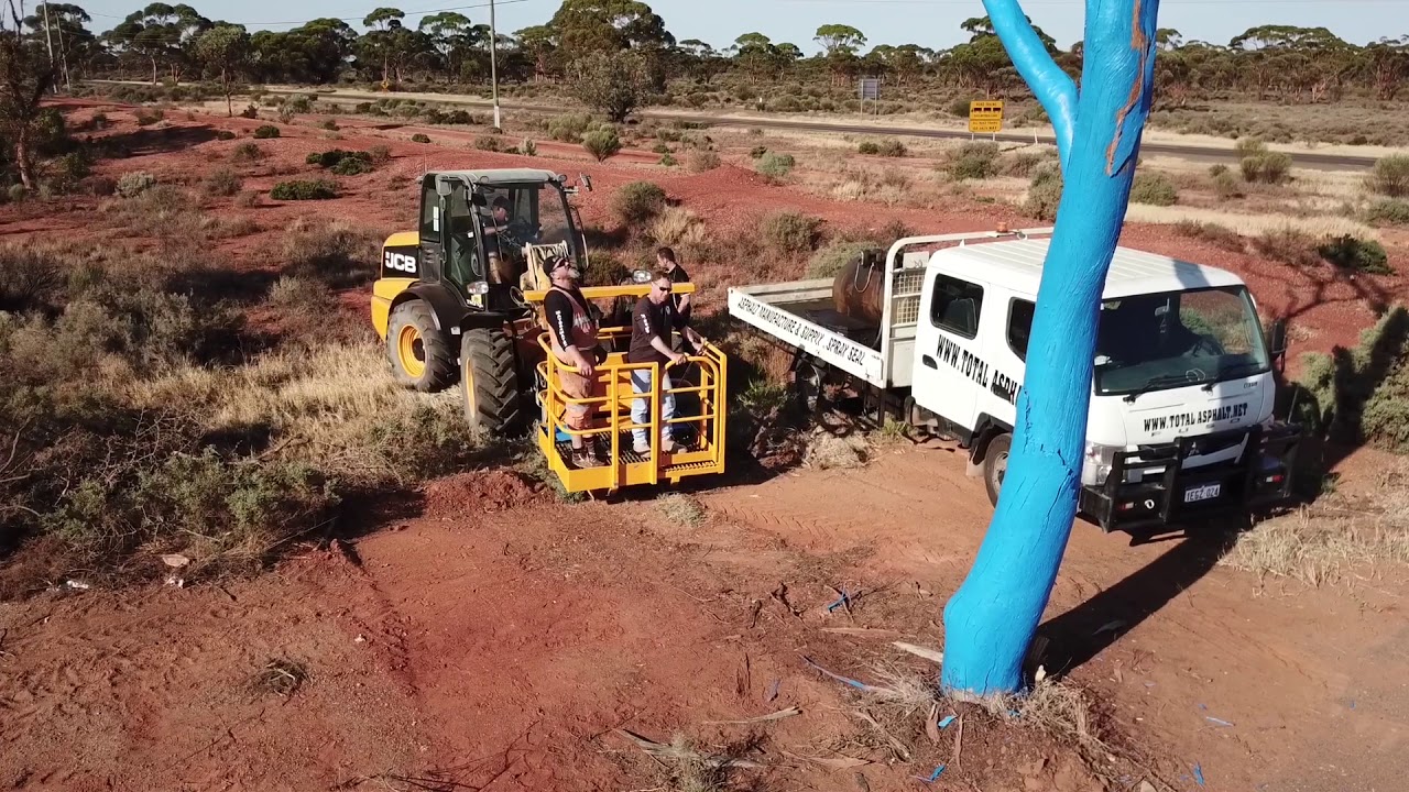 The Blue Tree Project -Goldfields Western Australia