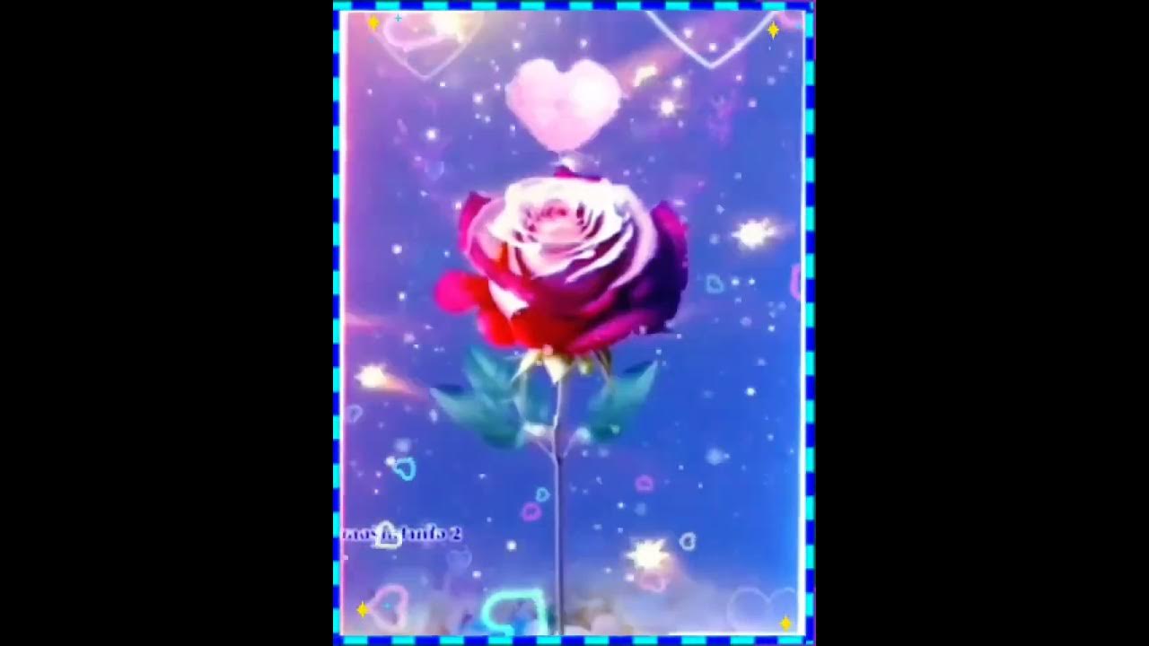 ❤️ 音樂欣賞 ❤️ 水潑落地難收回 ❤️ 2025-8-14 週四 ❤️ 音樂欣賞 ❤️ 水潑落地難收回 ❤️ 2025-8-14 週四