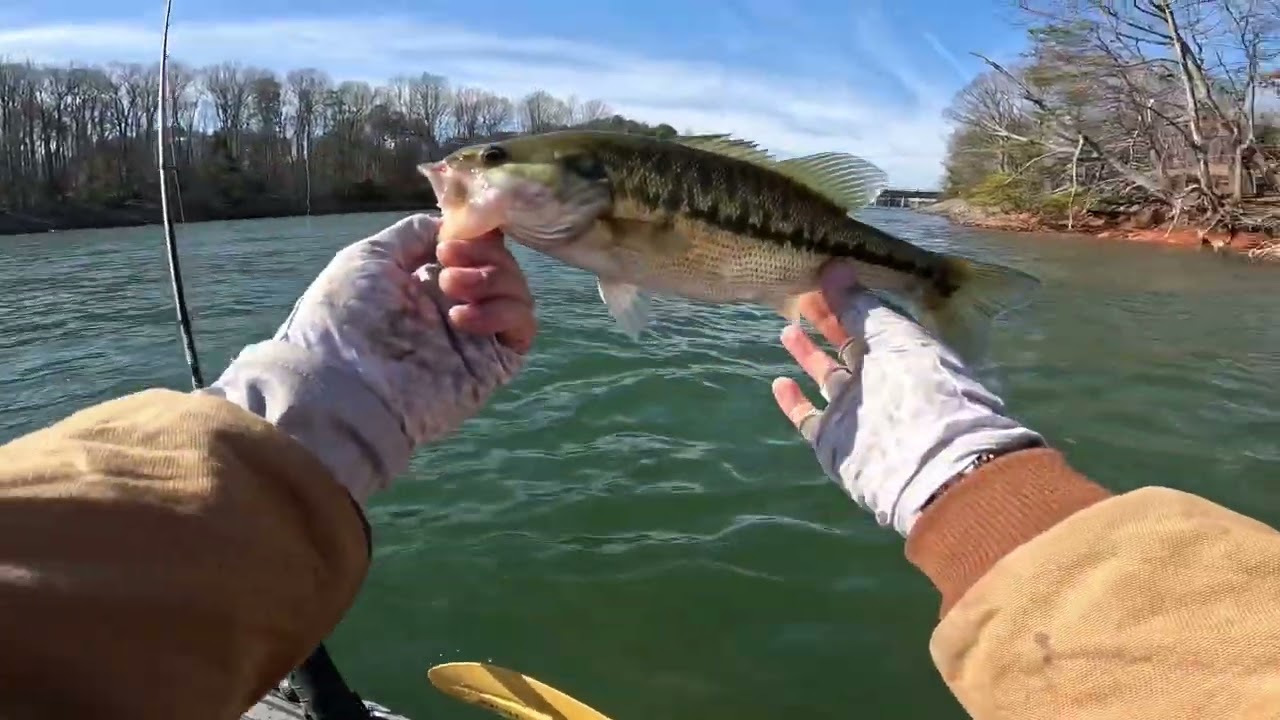 Met My Brother And Nephews At LAKE NORMAN Winter Kayak Bass Fishing