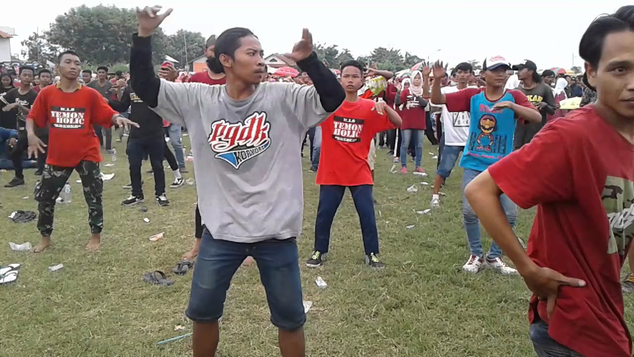 Tolle kopyor PGDK PGDT TEMON HOLICK