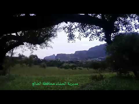 مشاركة مديرية الحشاء محافظة الضالع