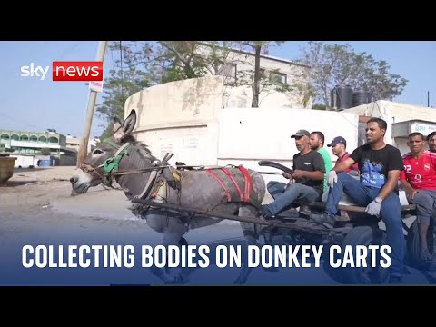 Israel-hamas war: collecting bodies on donkey carts