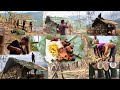 Naga farmers || building a hut full process || wild banana leaf roof || bamboo works.