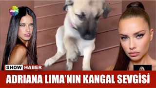 Adriana Lima'nın kangal sevgisi