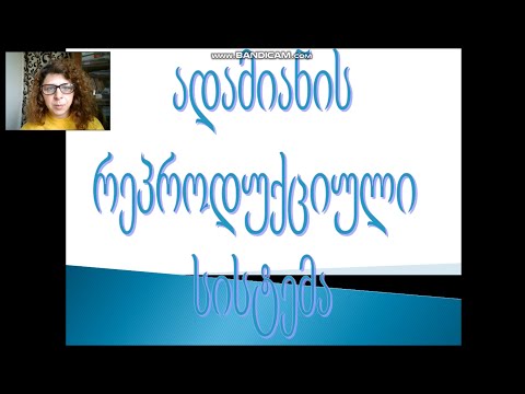 რეპროდუქციული სისტემა