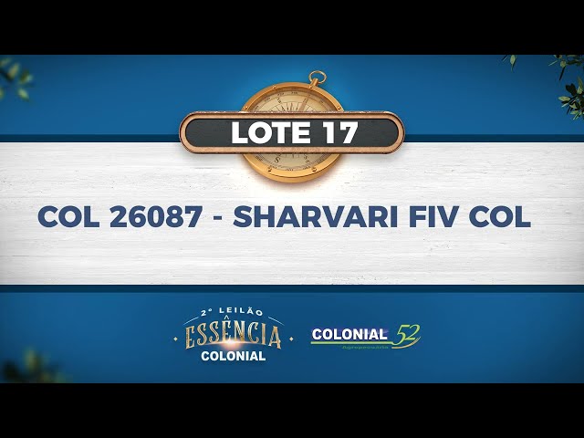 LOTE 17   COL 26087