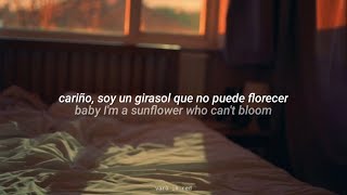 Sunflower // Icon For Hire | español / inglés