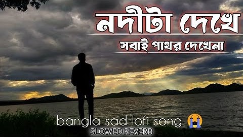 নদীটা দেখে সবাই পাথর দেখে না Nobita dekhe Sawai pathar dekhna slowed reverb sad lofi song 😭😭
