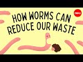 Vermicomposting: How worms can reduce our waste - Matthew Ross