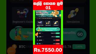 සල්ලි හොයන ක්‍රම 1 / make money online