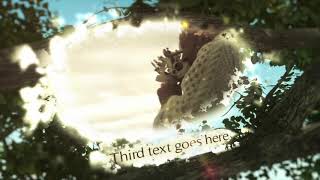 Tree of Memories | After Effects Templates - Motion Array
