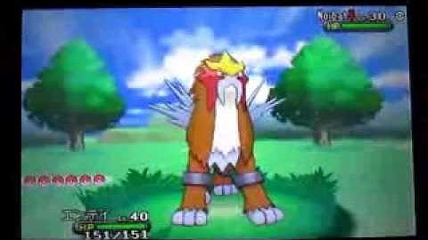 Pokemon Y: Shiny Noibat after 1 Random Encounter!