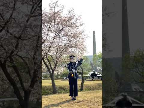 공군 의장대 동작시범 #shorts