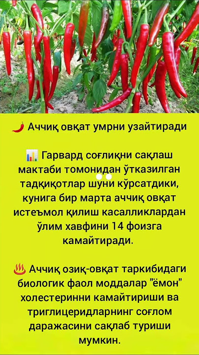 Sotsialistlar ishtirokida yuqori sifatli porno tomosha qiling