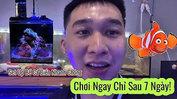 Giải Pháp Mới: Bể Cá Biển Cycle 7 Ngày, Sẵn Sàng Chơi Ngay!
