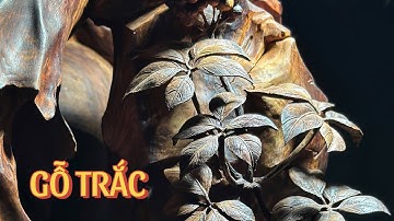 Điêu Khắc nghệ nhân Quốc gia Xuân Nhiên tượng Tế Công gỗ Trắc đỉnh cao