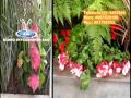 Decoración de Jardines, Jardines Zen, Jardines Verticales, Forestación, Paisajismo