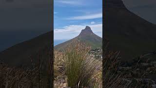 Cape Town from Kloof corner hike