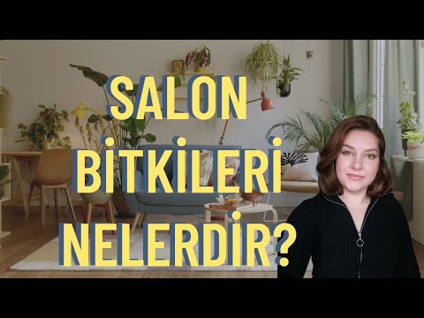 Video: Gelecek vaat eden teknolojiler: açıklama, geliştirme, yönergeler