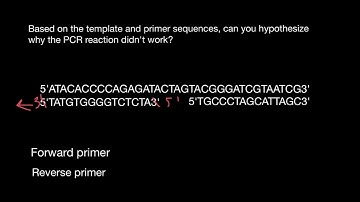 How to design primers for PCR