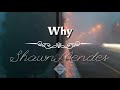 Why - Shawn Mendes // Lyrics ingles- español