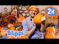 Halloween Pumpkin Farm | Blippi | Cartoons with Subtitles - Moonbug