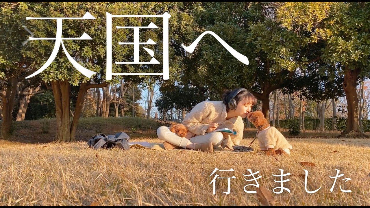 近況報告/天国へ行きました/そしてこれから... YouTube