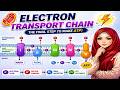 Electron Transport Chain and Oxidative Phosphorylation