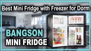  BANGSON Small Fridge with Freezer, 4.0 Cu.Ft, Samll