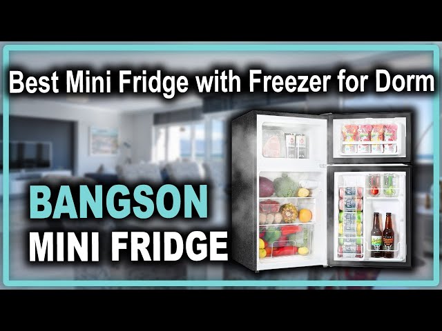 BANGSON Small Fridge with Freezer, 4.0 Cu.Ft, Samll Refrigerator with  Freezer, 5 Settings Temperature Adjustable, 2 Doors, Compact Fridge for