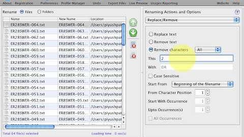File Renamer for Mac - How to replace and remove text in file names and remove text or characters
