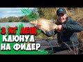 Клюнул ТРЕХ килограммовый красавец ЛЕЩ! Ловля леща на ФИДЕР осенью! Березина 2019!