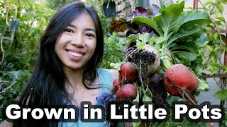 Unusual Ways To Grow Beets In Small Space