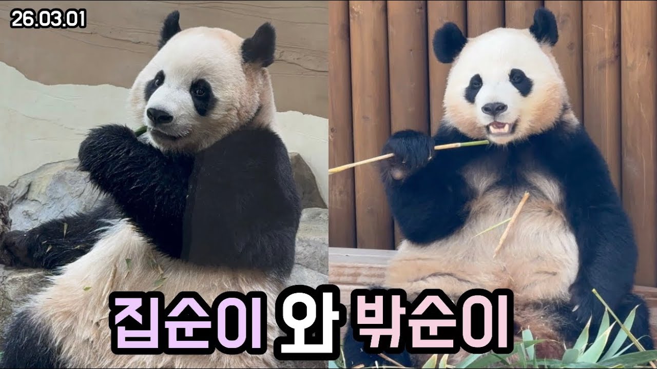 26.03.01 루이후이의 취향존중 아침☀️🥰