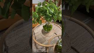 Celebrity Top grain leather sofas in camel color #dodwelldesigns Wealth