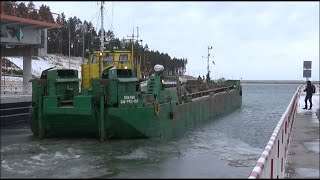 Szalandy Prcip Opuszczają Zalew Wiślany