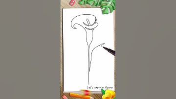 continuous contour line drawing tutorial #shorts#painting #art #drawing