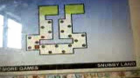 worlds hardest game level 9