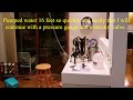 Fanning &#39;&#39;Economy&#39;&#39; Scale Model Hot Air Pumping Engine Water Column Pressure Test &amp; Demonstration