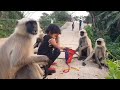 Monkey best funy  animal family bd