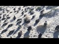 South Africa - Boulders Beach, Simon&#39;s Town 6-12-14