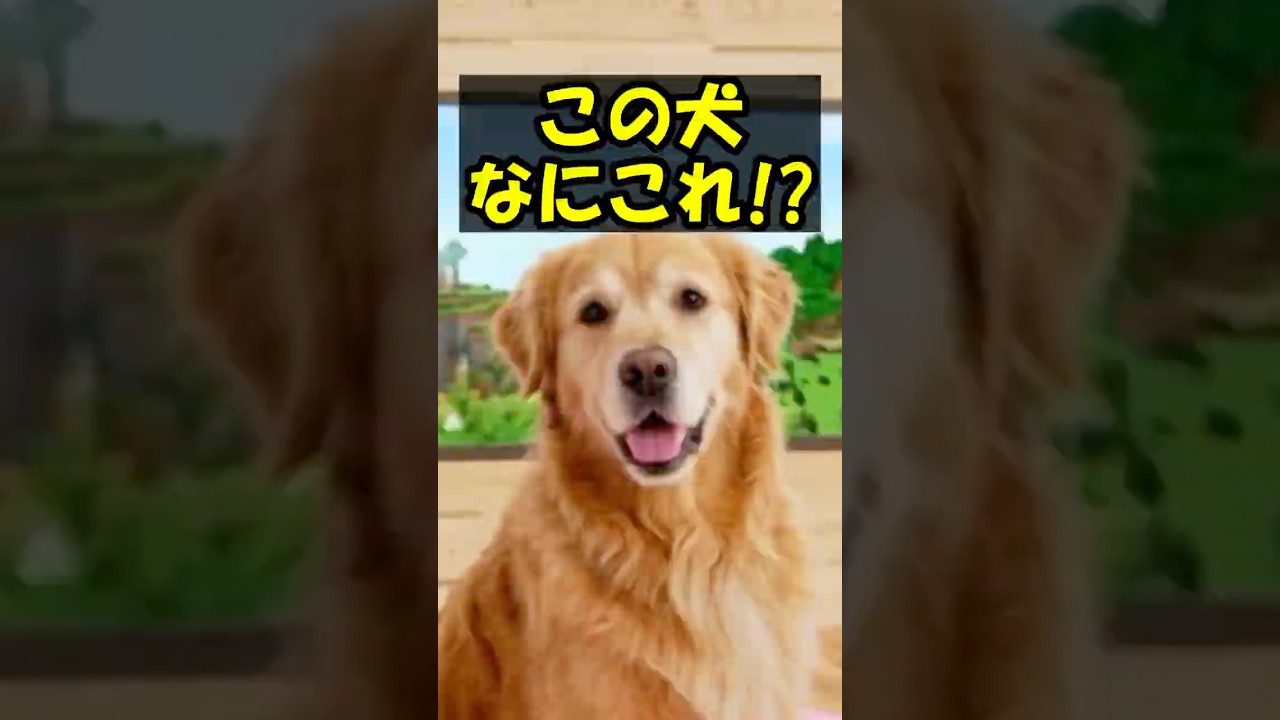 犬と遊ぶホラーゲームが怖すぎる！！ #shorts #ゲーム #ゲーム実況 #minecraft