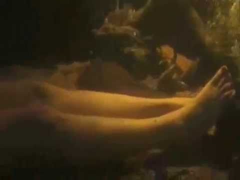 Water Monkey Encounter!