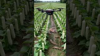 Newfarmerproject Ep 143