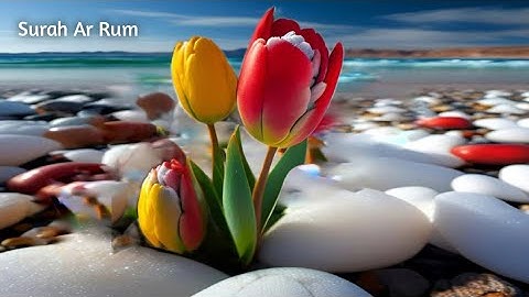 Surah Ar Rum Full || By Bilal Attaki With Arabic Text (HD)|سورة الروم|
