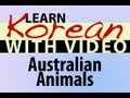 Learn Korean with Video - Australian Animals