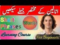 Learn Italian Short Sentences To Improve Speaking Power 🌿